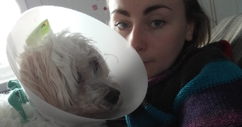 marie-amélie pet sitter à AMIENS 80000_2