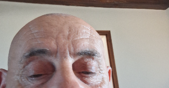 raymond pet sitter à MOREILLES 85450_0