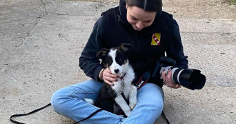 elsa pet sitter à CHALIGNY 54230_5