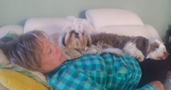 monique pet sitter à MOUTIERS LES MAUXFAITS 85540_1