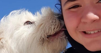 hiba pet sitter à ST QUENTIN 02100_0
