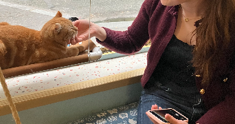 chloé pet sitter à Vélizy-Villacoublay 78140_4