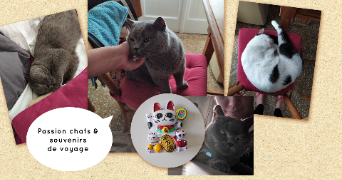 sophia pet sitter à ORLEANS 45000_3