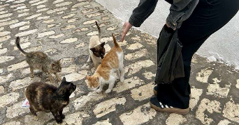 clarisse pet sitter à La francheville 08000_4