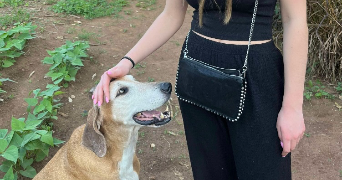agathe pet sitter à DIJON 21000_5