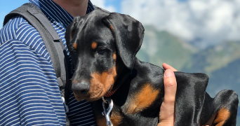 jerome dog sitter à ANTHY SUR LEMAN 74200_1