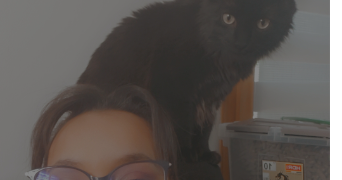 axelle pet sitter à LANGLEY 88130_1