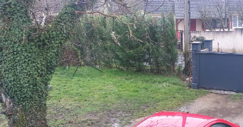 elodie pet sitter à MAISSE 91720_2