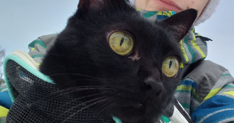 maëlys pet sitter à NANTES 44000_1