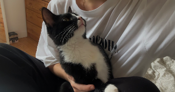 camille pet sitter à CAEN 14000_1