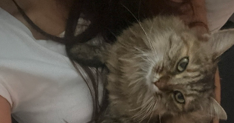 aznavourian pet sitter à BOURG ST CHRISTOPHE 01800_1