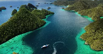 eliott pet sitter à CLERMONT FERRAND 63000