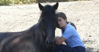 amélie pet sitter à LE PIAN MEDOC 33290