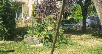 solène pet sitter à THORIGNY SUR MARNE 77400_4