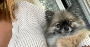 maty pet sitter à PARIS 16 75016_3