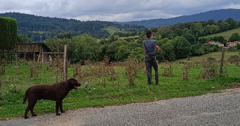 guillaume pet sitter à L ARBRESLE 69210_2