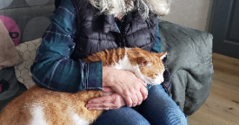 noelle pet sitter à ST ETIENNE 42100_1