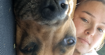 katou pet sitter à BOURG DE PEAGE 26300_0