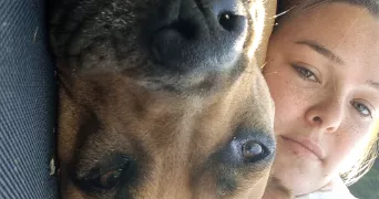 katou pet sitter à BOURG DE PEAGE 26300