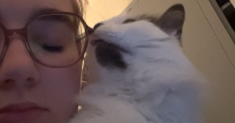 mélissa pet sitter à ST NAZAIRE 44600_0