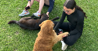 rachel pet sitter à MARSEILLE 01 13001_7