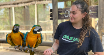 laurie pet sitter à ETAPLES 62630_2