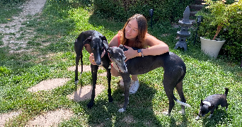 EMELINE pet sitter à Reims 51100_0