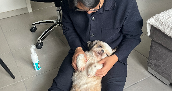 solène pet sitter à FRANCHEVILLE 69340_6