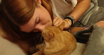 lena pet sitter à GUIPEL 35440_1