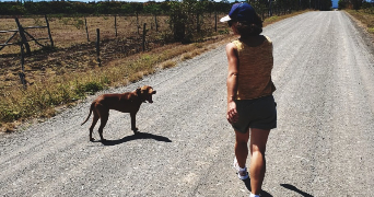 héloïse dog sitter à PAU 64000_2