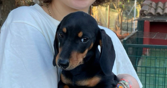 enea pet sitter à ISSY LES MOULINEAUX 92130_1