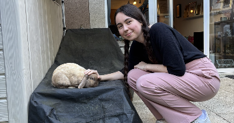 Romane pet sitter à FRANCONVILLE 95130_9
