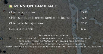 laurie pet sitter à Hauterive la fresse 25650_8