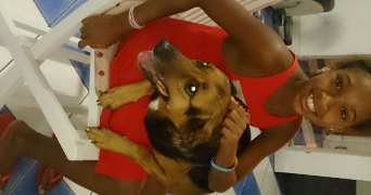 lorissa pet sitter à LIEVIN 62800_2
