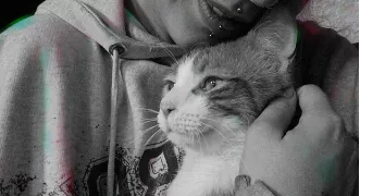 athénaïs cat sitter à JACOB BELLECOMBETTE 73000