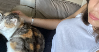 margot pet sitter à ROUSSET 13790_1