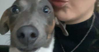 camille pet sitter à LILLE 59160_1
