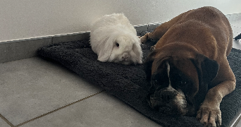 ghyslaine pet sitter à RIOM 63200_1