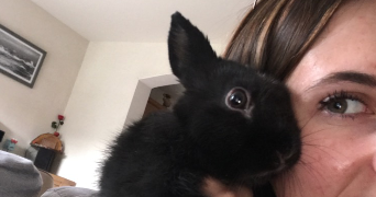 chloe pet sitter à COLPO 56390_4