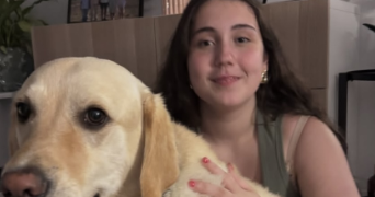 ysaure pet sitter à LYON 03 69003_0