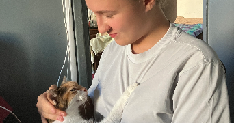 ysée pet sitter à CHATILLON 92320_1