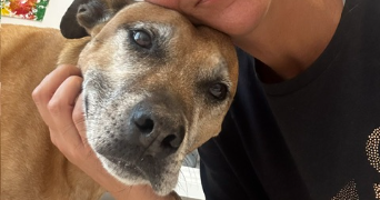 laureen pet sitter à ST JEAN DE VEDAS 34430_1