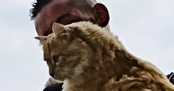 kevin pet sitter à SURESNES 92150