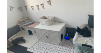 alizé pet sitter à JARVILLE LA MALGRANGE 54140_3