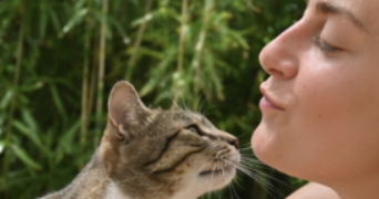 camille pet sitter à MARSEILLE 01 13001_1