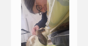 marie pet sitter à L HAY LES ROSES 94240_5