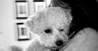 victoria pet sitter à CHAVILLE 92370_2