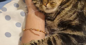 esther pet sitter à LES ULIS 91940