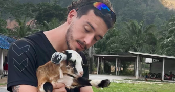 tom pet sitter à IVRY SUR SEINE 94200_1