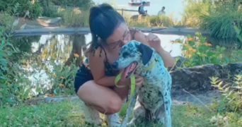Charlotte pet sitter à Nantes 44300_6